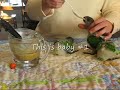 feeding time for 5 week old baby senegal parrots