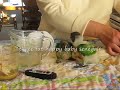 feeding time for 5 week old baby senegal parrots