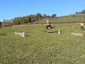 gamelle planche gamelle planche