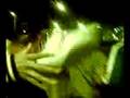 videos de Comercial NIKE Estilo Mandril