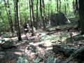 (uploaded by T3Knical)&nbsp;Example of usage of the tripod attached to tree