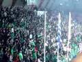 Panathinaikos, telikos volley Patra, tragoudia 5
