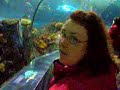 Ripley\ Ripley\