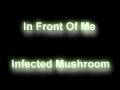 InfectedMushroom - In Front Of Me