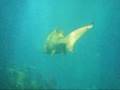 The Deep - Hull