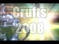CRUFTS 2008 - Harry Hill