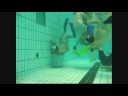 Trening281008