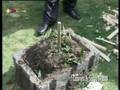 Dore u Yawmotho 28 syomo du Fahmo (kumir) bi Keferbe