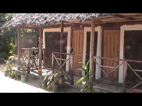 Eazy's Place の動画