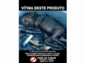 Brazil Anti-Smoking Ads on Packs