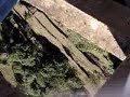Acidente bamb-jump Acidente bamb-jump
