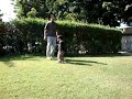 MOV04491.MPG