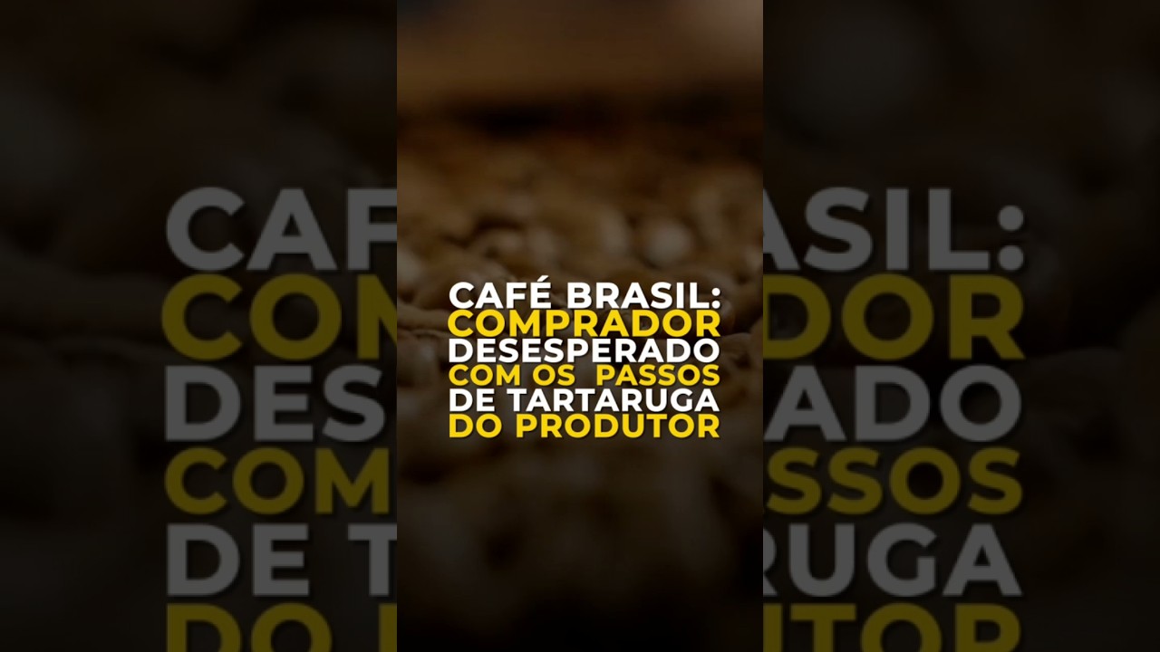 CAFÉ BRASIL: COMPRADOR DESESPERADO COM OS  PASSOS DE TARTARUGA DO PRODUTOR