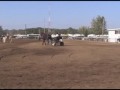 Becca's 2007 4-H Horse Show - Grand Championship Round