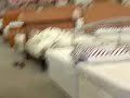 The Bed Shed Prank