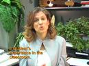 Rights and Responsibilities Module Intro