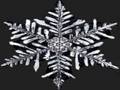 Morphing Snowflakes