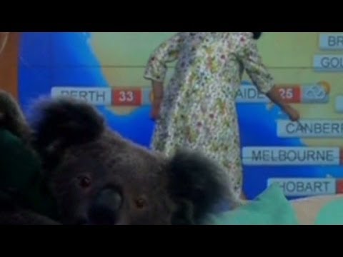Quirky Katy Perry does weather