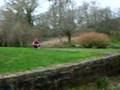 Pocket Bike Cross