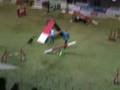 Agility Italia Team Large: Belladonna con Dark