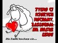 Synomim - Znów mi si? ?nisz Synomim - Znów mi si? ?nisz