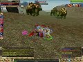 Knight Online teke tek