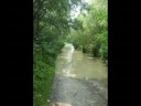 Bilantul Inundatiilor din Nordul Tarii Bilantul Inundatiilor din Nordul Tarii