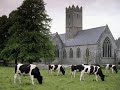 Roisin Dubh
