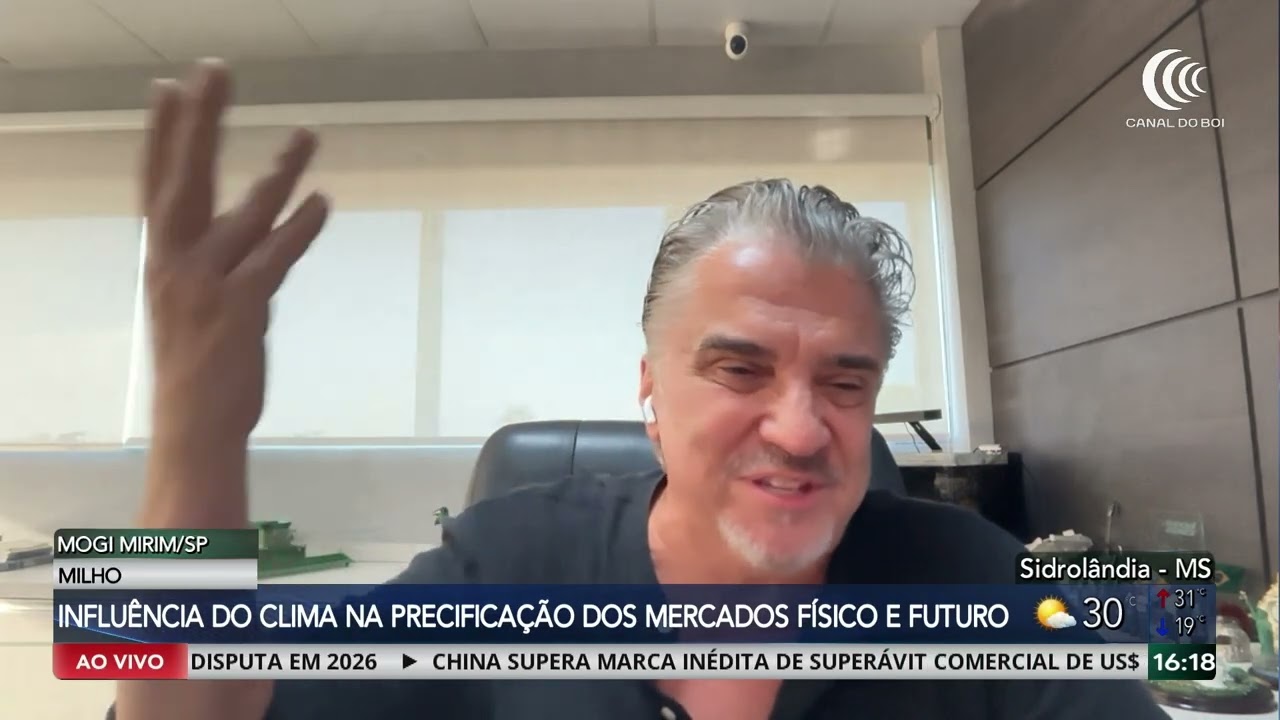 Mercado do milho segue influenciado pelo clima