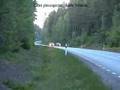 Golf v Gti mtm steg1 250 hp vs Honda Ctr 225 hp