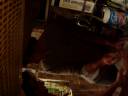 Lima Limon Lima Limon