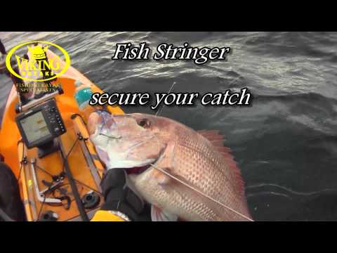 how to locate snapper