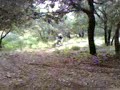Pierre crash dirt