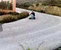 p.d.p