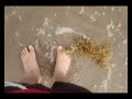 Playa Teitanica