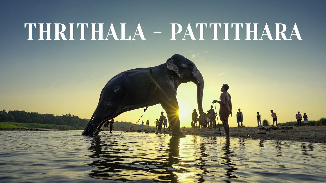 Enchanting Thrithala-Pattithara, Palakkad