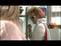 Ginger Elvis - Ideal