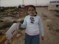 videos de Pnei Kedem Kite Festival