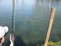 pesca a mosca en el bierzo 3