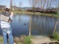 pesca a mosca en el bierzo 3