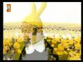 Turkcell Ar�l� reklam