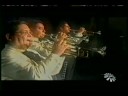 MARIACHI NUEVO TECALITLAN - Mi Amor Es Una Trompeta