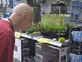 Fluval Chi
