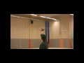 Trex 250 by EKAN with crash