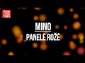 Mino - Panelė rožė