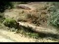 john deere 5403 (HaSaN@G�VeN)