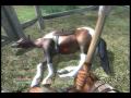 Farm-Animal-Murder-S