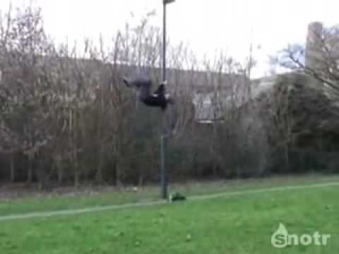 Gymnastics and parkour