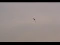 Niog - Dondon Inverted Heli