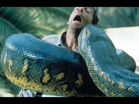 anaconda
